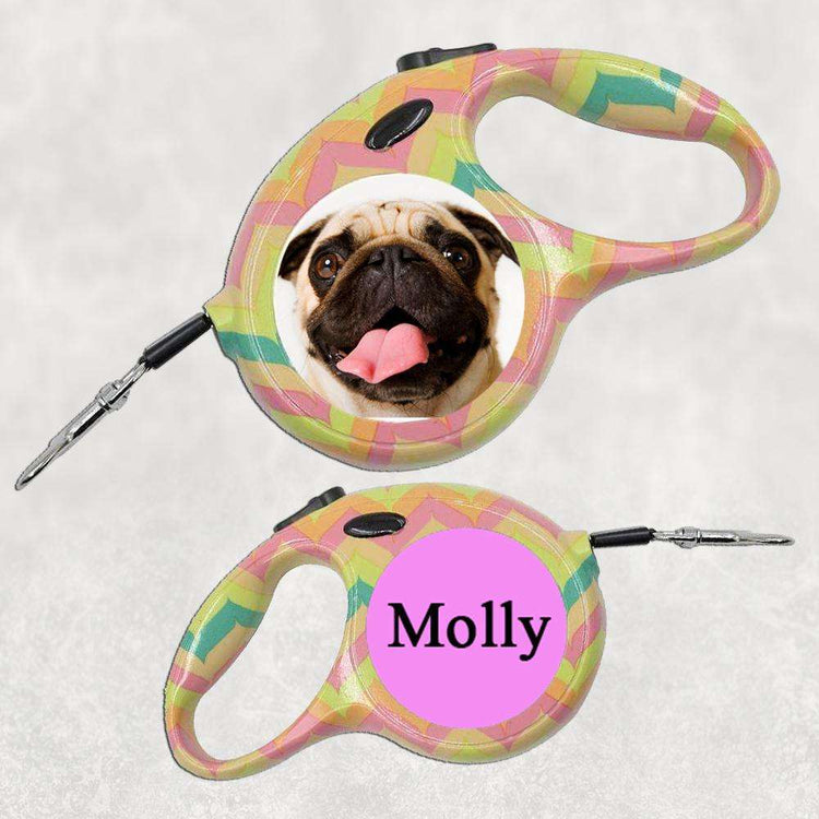 Retractable Dog Lead - Small/Medium Dog:Dog LeadEndlessPrintsUK