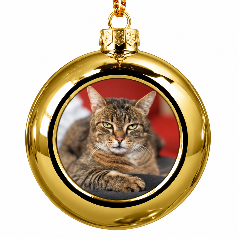 A round gold Christmas ornament featuring a printed photo of a brown tabby cat in the center, shown on a plain white background.