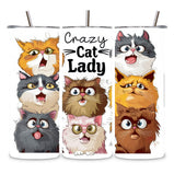 crazy cat lady stainless steel tumbler